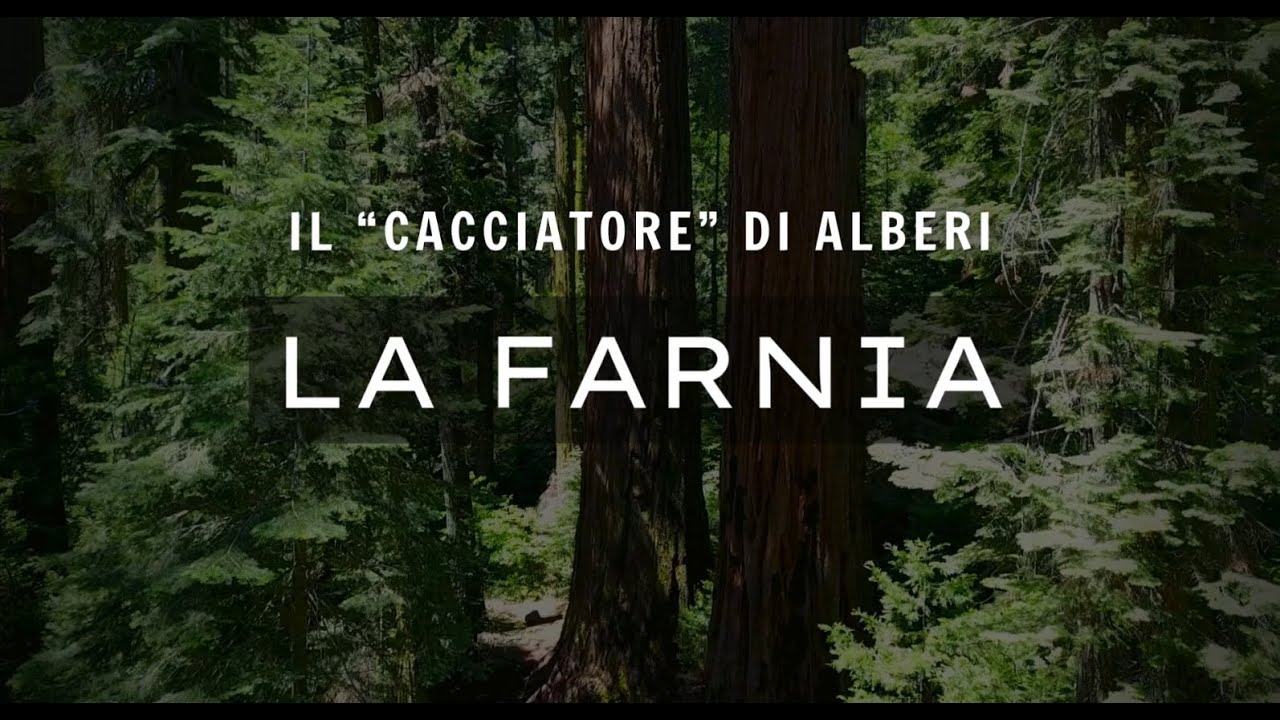 RICONOSCERE GLI ALBERI - LA FARNIA (Quercus Robur)