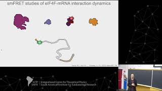 Ruben Gonzalez: The mechanism of mRNA activation