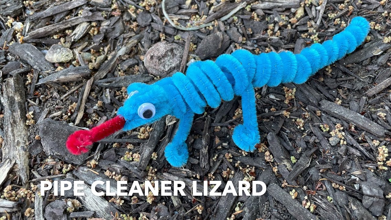 How to Make a Pipe Cleaner Lizard 