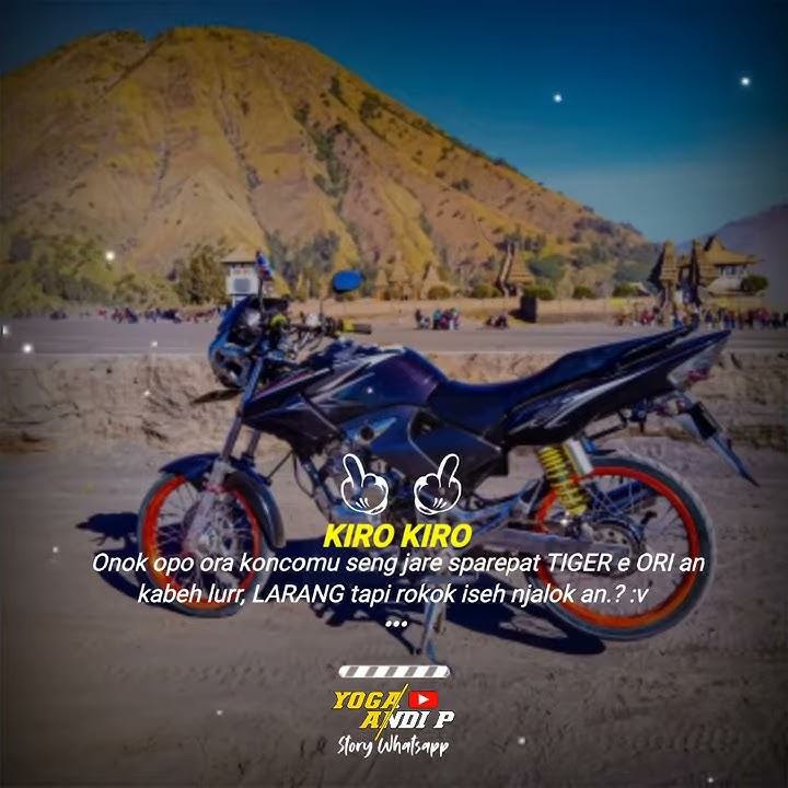 Story wa Tiger Herex Dj Perahu layar || @editorsimple_