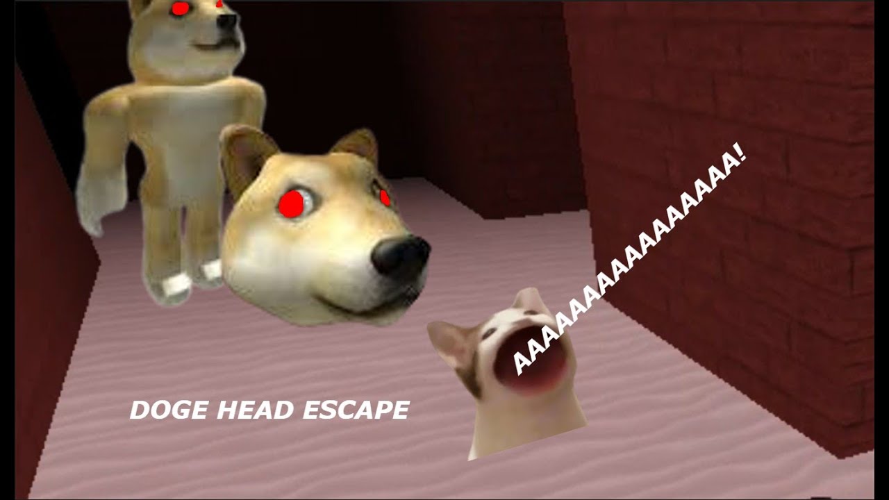 jugando el juego de Doge Head Escape 🐶 🐱 - YouTube