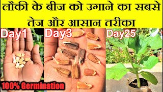 Learn the fastest way to grow bottle gourd from seeds / Fastest Method of Bottle Gourd Seed Germi... screenshot 2