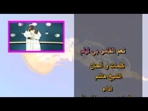 البرعي خلف الله نعم القاموا 