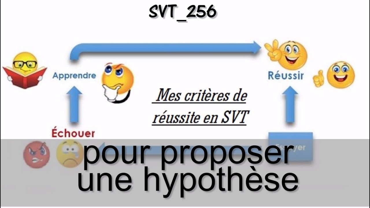 [Les critères de réussite] Compétence 