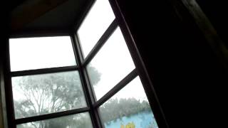 DSCF5238