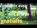 Comment avoir des arbres fruitiers  rsistant et gratuits  