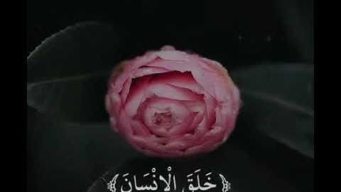 قرآن كريم بصوت ادريس ابكر🖤||حالات واتس اب||