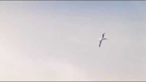 Unity is Strength | Inspirational Video | Must watch