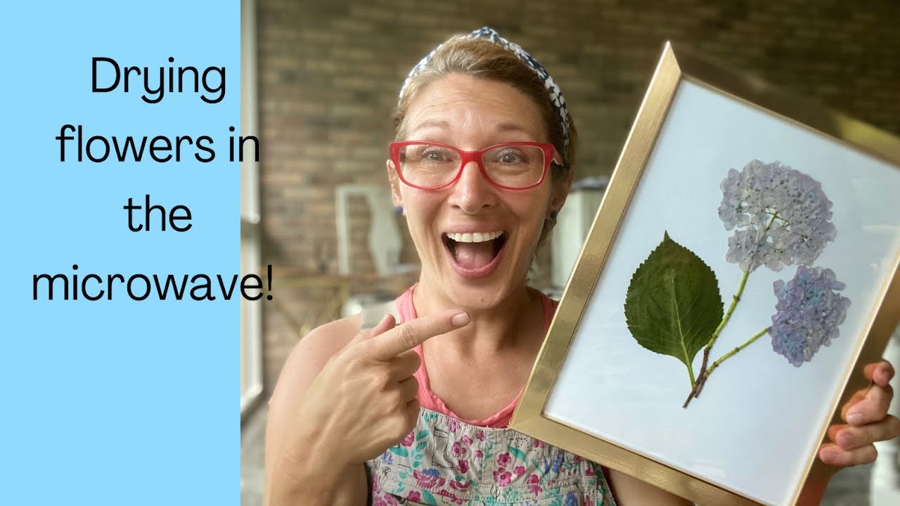 MICROWAVED FLOWERS? How to use a microwave flower press to dry or pre-dry  fancy flowers, by sarakaye