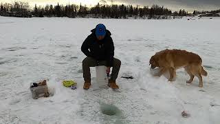 Ice Fishing 🎣 @ Jewel Lake Anchorage Alaska #icefishing #alaska