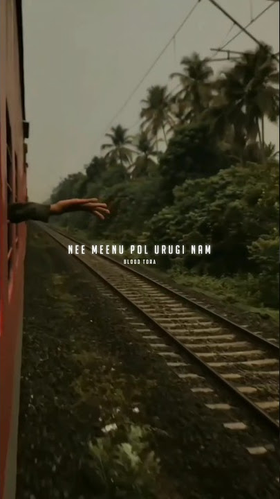 Neeyilla neram HD Malayalam Status ✨❤
