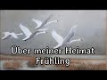 Freigeisterbund  ber meiner heimat frhling live recording english translation