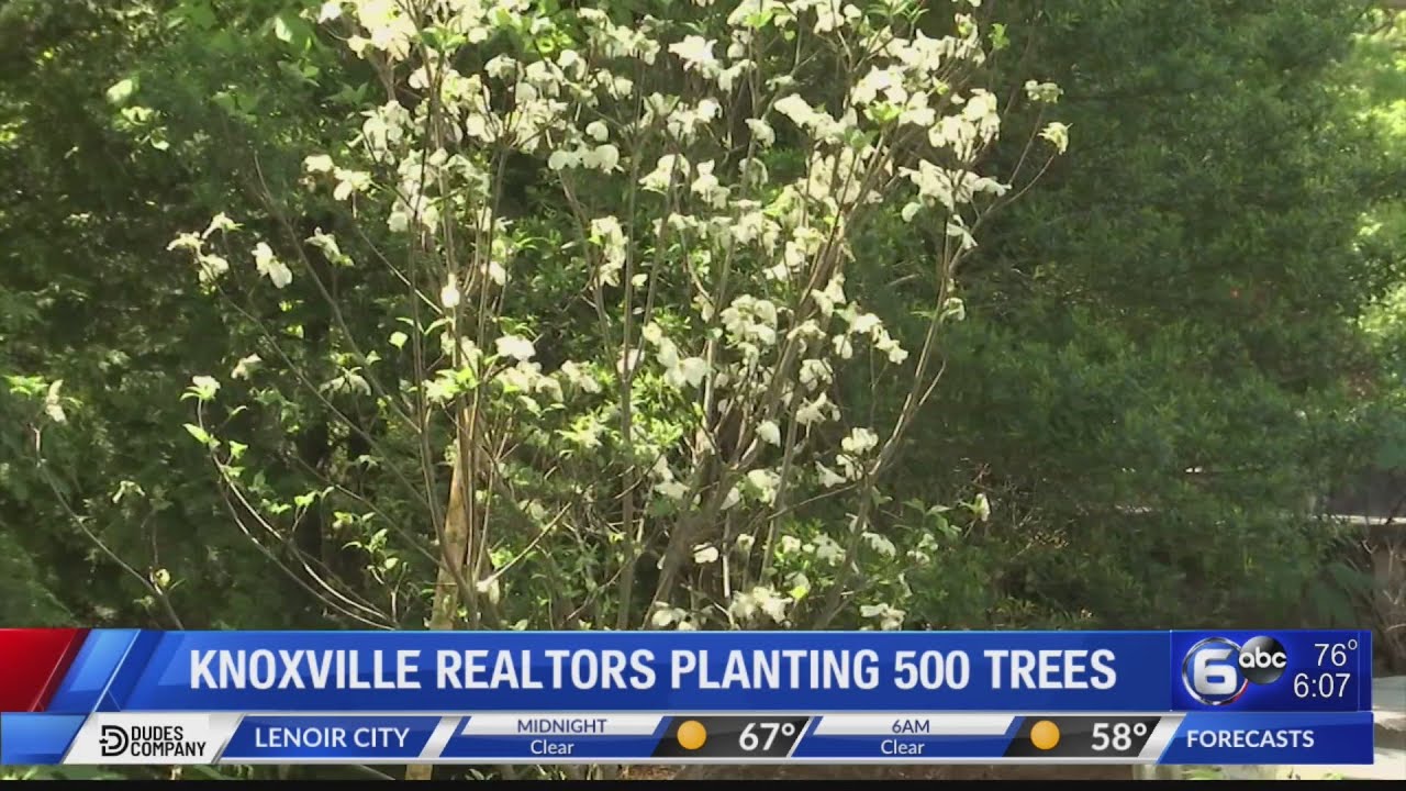Knoxville Realtors planting 500 trees YouTube