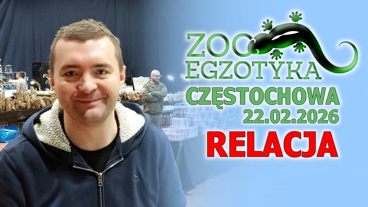 Zooegzotyka CZĘSTOCHOWA 22.02.2026 - RELACJA