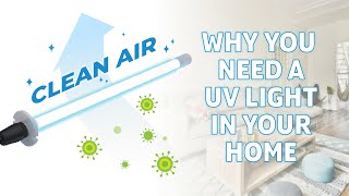 Why You Need A UV Light In Your Home