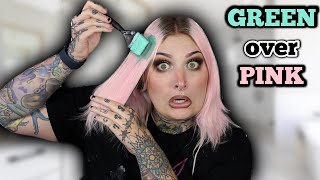 Cancelling Out Pink Hair Color With Green Dye 😬