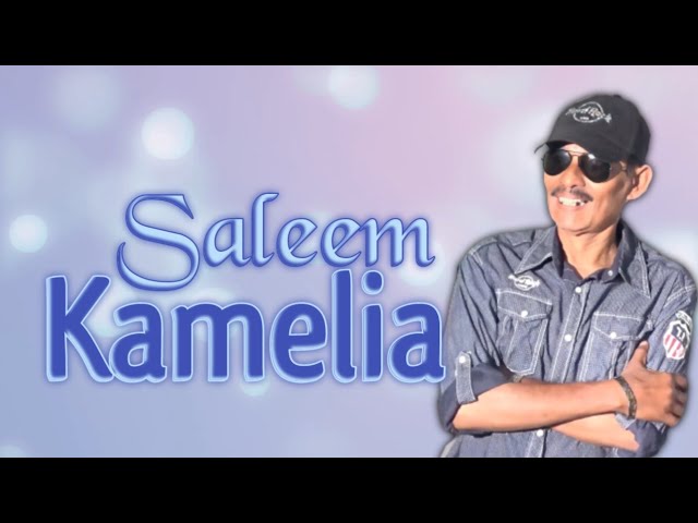 SALEEM - Kamelia | Video Lirik class=