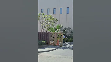 Hyatt Ahmedabad 5 Star Hotel Ahmedabad 