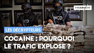 Cocaïne : pourquoi le trafic explose en France ?