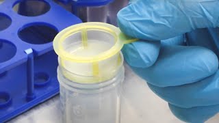 How to use SPL Cell Strainer #biotechnology