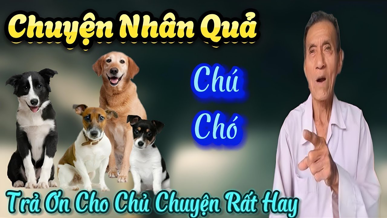 Chuyện Nhân Quả Chú Chó Trả Ơn Cho Chủ Chuyện Rất Hay... - YouTube