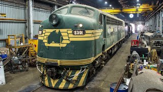 STEAMRAIL GIFTED LOCOMOTIVE S301 BY PACIFIC NATIONAL  2024 Open Days Locomotive Reveal 1