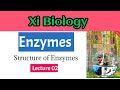 Biology Enzyme class 11 Structure of enzymes /IBA junior science teacher sindh board new book