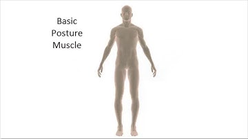 Gluteus Medius | Trigger Point Release | Low Back Pain