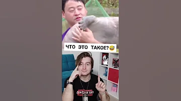 ЯПОНСКАЯ ГИГАНТСКАЯ САЛАМАНДРА!