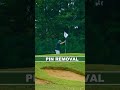 GETTING HIT INTO PART 2