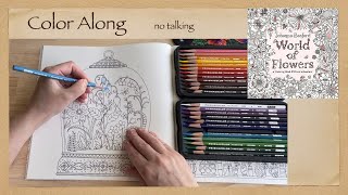 Calming Stress Relief Coloring Along Johanna Basfords World Of Flowers No Talking Asmr