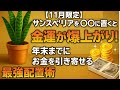 【11月限定】サンスベリアを○○に置くと金運が爆上がり！年末までにお金を引き寄せる最強配置術