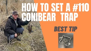 How to set a Conibear Trap.  Best tip for 110 Conibear!