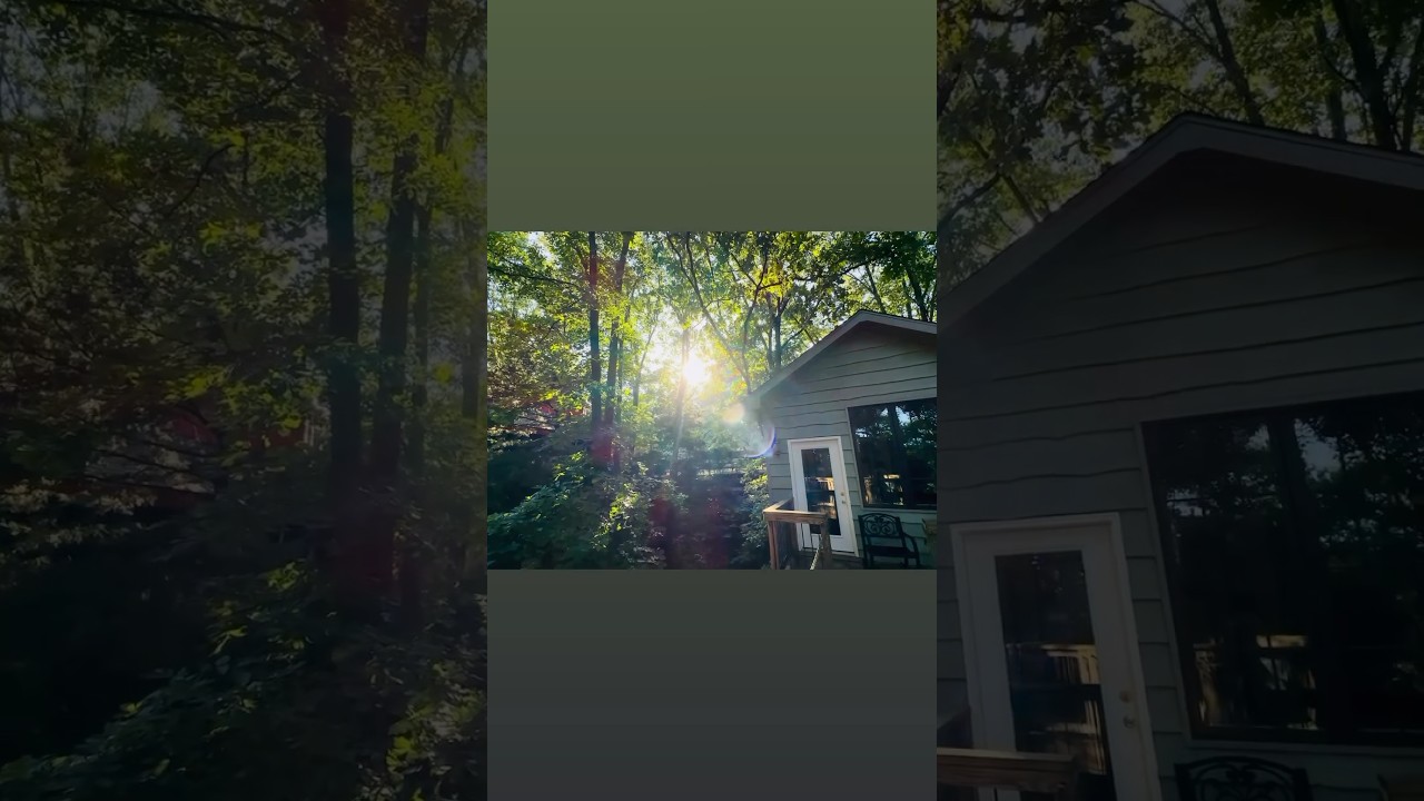 Branson Treehouse Adventures 