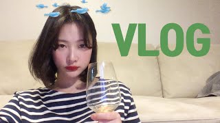 [vlog]일상 브이로그(소주를 이렇게 많이...?/갈쿡 LA갈비와 계란탕/초간단 데일리 메이크업/벌떡 국물닭발/소고기에 소주/가족 모임/즐거운 주말/시바견 택이)