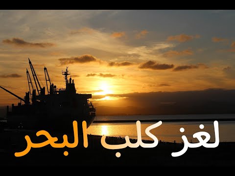 لغز كلب البحر المغامرون الخمسة