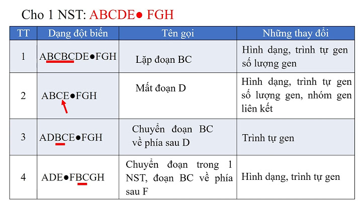 Chuyển đoạn tương hỗ là gì năm 2024