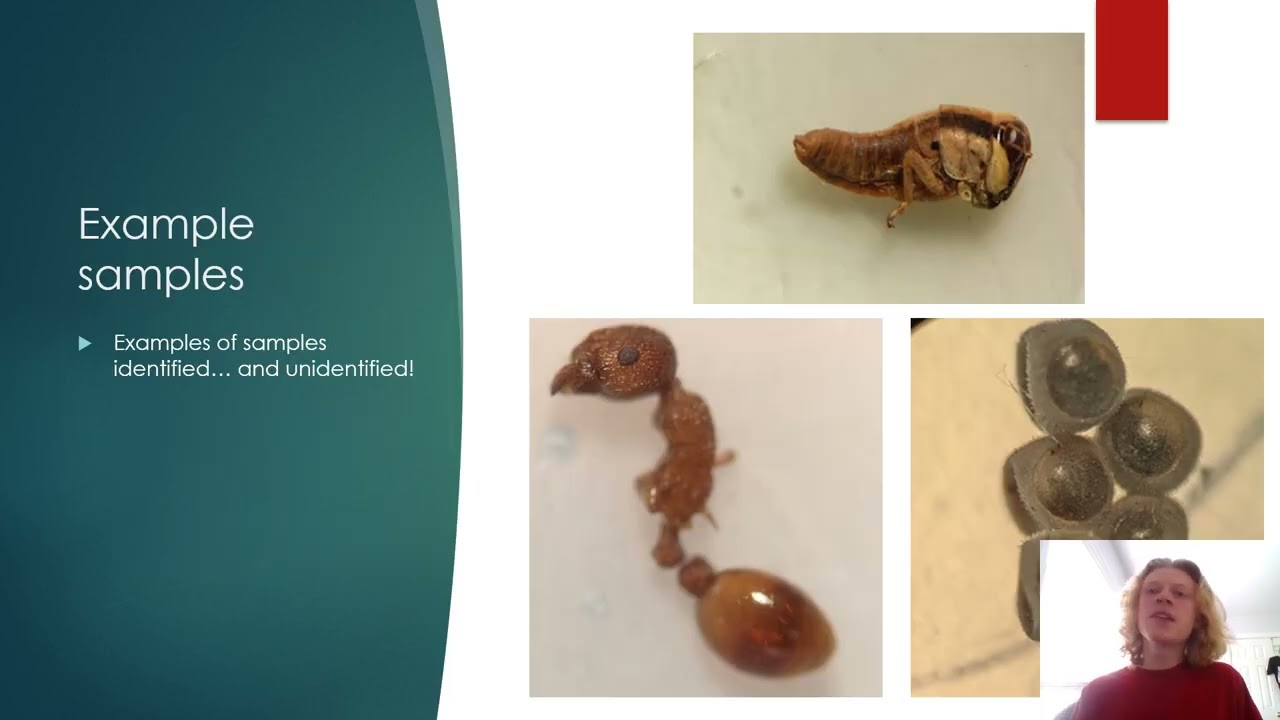 ZACHARY BUNCH: 16TH ANNUAL THOMAS UNDERGRADUATE RESEARCH AND CREATIVITY EXPO