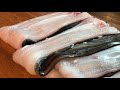 바다장어 (アナゴ 捌きの方) 손질과정 및 바다장어 초밥 How to SASHIMI