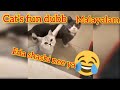 Catsfunndubbmalayalampart1