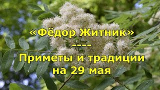 Народный праздник «Фёдор Житник». Приметы и традиции на 29 мая.