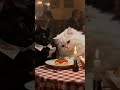 She Dumped the Pasta When He Wouldn't Put His Phone Down 🍝🐱 #shorts