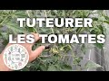 Vlog s19  comment tuteurer les tomates sous serre  semis de carotte et melon prparer le sol 