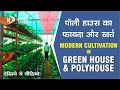 Polyhouse & Greenhouse का बिज़नेस कैसे शुरू करे | How to Start Polyhouse & Greenhouse Business