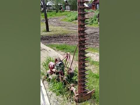 Рулон сырого сена на грузовом мотороллере - YouTube