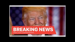 Breaking News - Donald Trumps IQ?