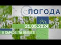 Прогноз погоди в Харкові та Харківській області на 21 травня