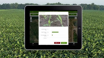 How to scout a field using AgraScout