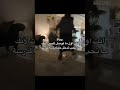 حقيقة كوميديا ضحك عشوائيات ضحك كورى
