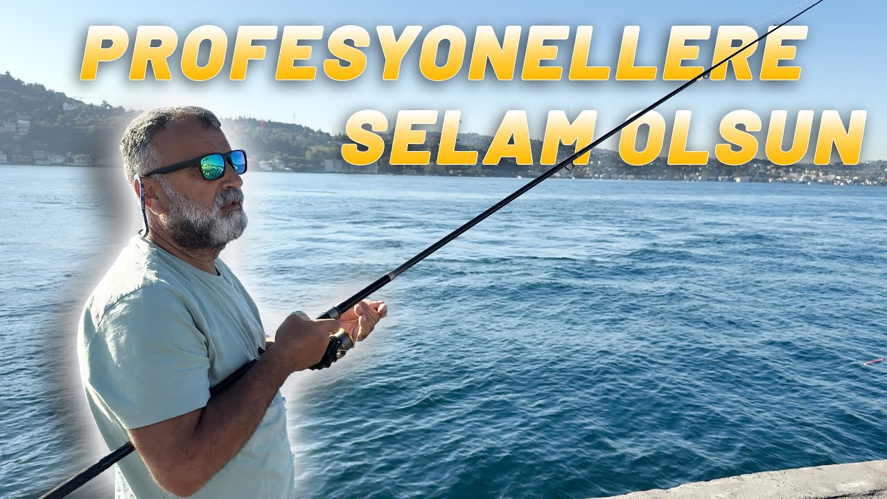 Boğazda İstavrit - Sardalya Avı